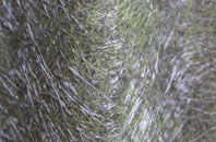 Langley Burrell fibreglass roof work